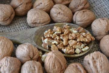 On burlap, peeled walnuts peeled on a wooden spoon.
