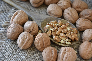 On burlap, peeled walnuts peeled on a wooden spoon.