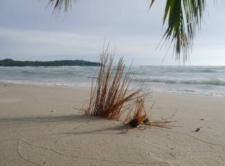 A small piece of wood on a white sand beach Behind the sea is a gentle wave.