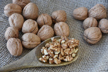 On burlap, peeled walnuts peeled on a wooden spoon.