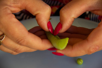 female hands open the pods of green peas