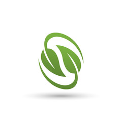 leaf vector isolated white background,