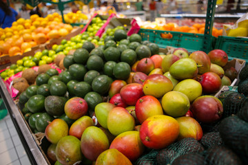 Mangos, avocados, limes, grapefruits, oranges and coconuts on the fruits and vegetables aisle in a store.