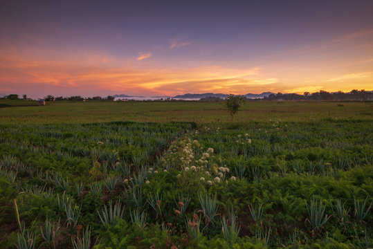 Natural landscape Photos at Padang Sumbar Wonderful Indonesia
