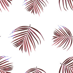 Fototapeta na wymiar Hibiscus seamless pattern. Palm leaf. Flower background