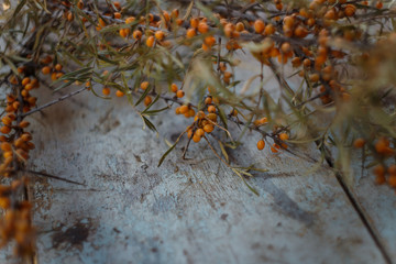branch of sea buckthorn on the old blue table background 