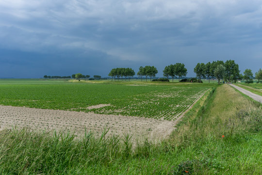 Deich bei Ouddorp