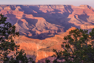 Looking pass the beautiful trees on the rim and into the depths of the glorious Grand Canyon at the south rim is inspirational thinking about the geology and years it has taken this scenic wonder to f