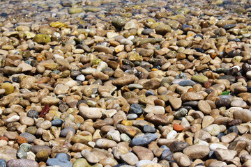 Small seashore small colorful beach stones in sea wave
