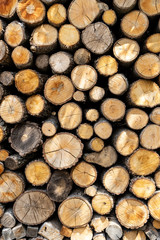 Cut Wood Pattern Background Yellow Brown