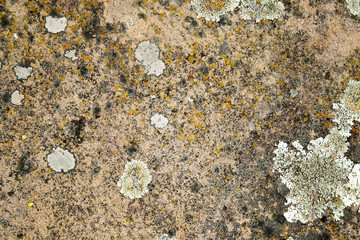 the surface of old slate stone for background, texture