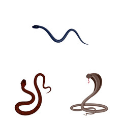 Isolated object of poison and evil logo. Set of poison and bite vector icon for stock.