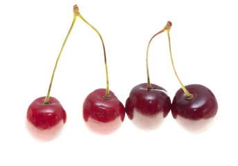 Ripe cherry berries on a white background