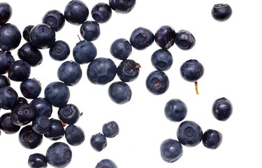 Ripe blueberries on a white background