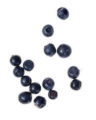 Ripe blueberries on a white background