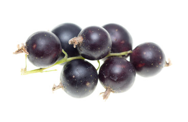 Ripe blackcurrant berries on a white background
