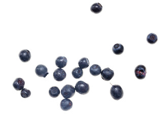 Ripe blueberries on a white background