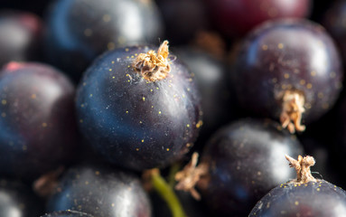 Ripe blackcurrant berries as a background