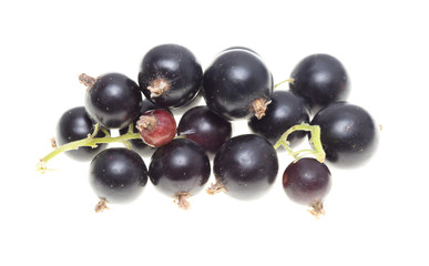 Ripe blackcurrant berries on a white background