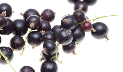 Ripe blackcurrant berries on a white background
