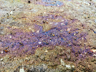 Gasoline stains on the wet as a background