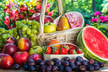 Variety of fresh ripe fruits in the garden.