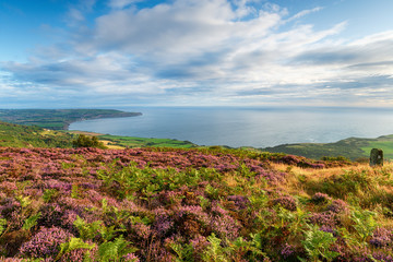 The view from Ravenscar to Robin Hood's Bay in the North York Moors
