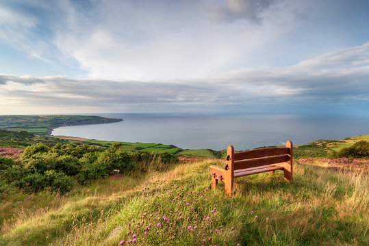 A wooden bench facing out to sea above Ravenscar on the Yorkshire coast