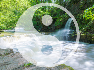 helles Yin Yang Symbol mit Hintergrund aus der Natur