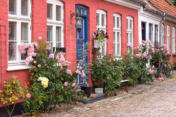 Fototapeta na wymiar View into the small lanes of the idyllic town Ribe, Denmark