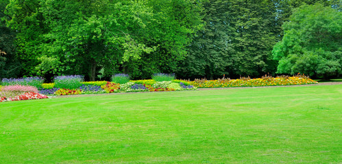 Fototapeta premium Summer park with beautiful flowers and meadow. Wide photo.