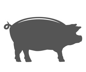 Black silhouette of a pig. Isolated on a white background. Vector illustration.