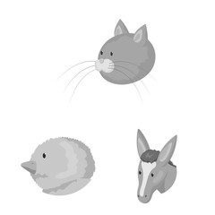 Vector illustration of countryside and homestead icon. Set of countryside and breeding stock vector illustration.