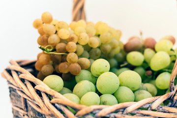 Green and blue grapes in a wicker basket on white background, autumn harvest.