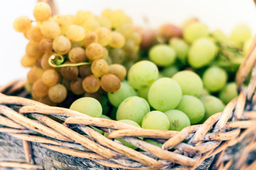 Green and blue grapes in a wicker basket on white background, autumn harvest.