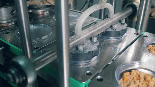 Plastic boxes with bread crumbs are getting covered with foil. Packaging process in food factory.
