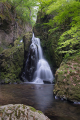 Naklejka premium 不動滝