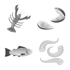 Isolated object of seafood and healthy icon. Set of seafood and ocean vector icon for stock.
