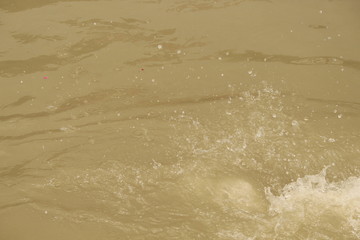 View at Ganges River in Rishikesh, Uttarakhand, India