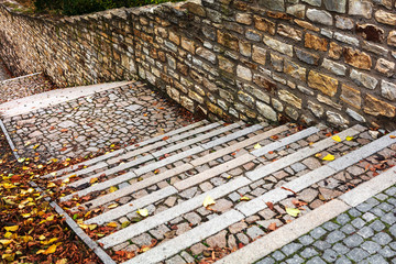 stairway covered with fallen leaves