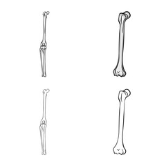 Vector design of medicine and clinic icon. Collection of medicine and medical stock vector illustration.