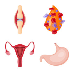 Vector illustration of anatomy and organ symbol. Collection of anatomy and medical vector icon for stock.