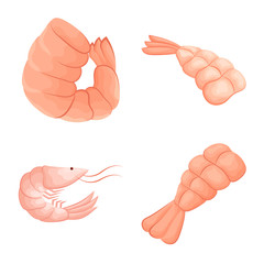 Isolated object of shrimp and crab icon. Collection of shrimp and sea vector icon for stock.