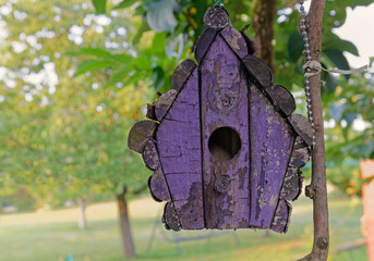 Purple Bird House in a Garden