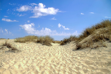 Dunes of the Doñana Natural Park, Andalusia, Spain