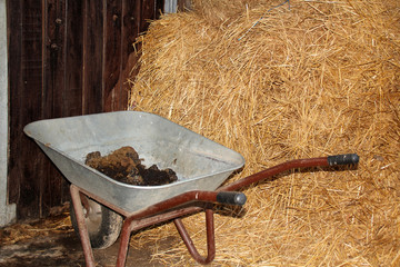 horse manure lies in a wheelbarrow next to a horse stall amid a large pile of yellow straw