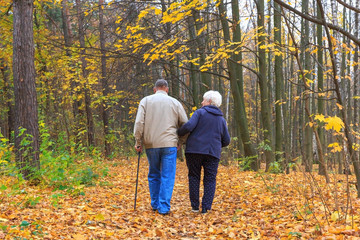 Fototapeta premium Happy senior couple in an autumn park