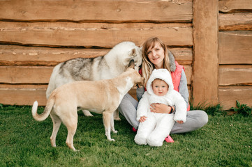 Happy mother sitting on grass and holding funny baby boy in reddy bear costume together with two beautiful dogs