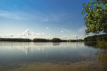 Green trees by the lake on a sunny day, with clouds on the sky