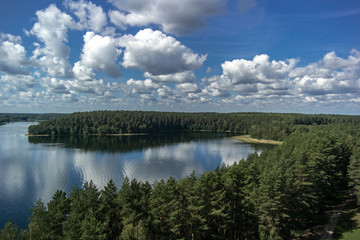 Green trees by the lake on a sunny day, with clouds on the sky